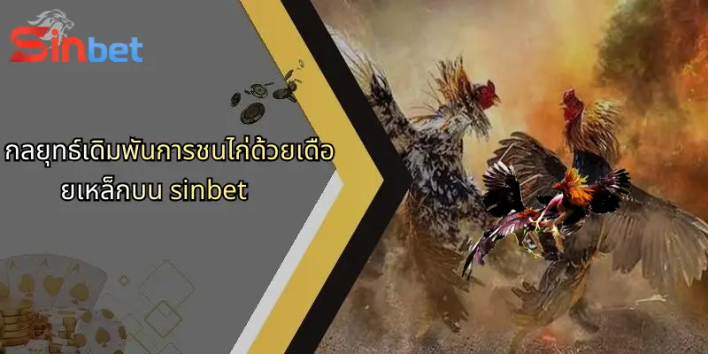 การชนไก่ด้วยเดือยเหล็ก: โลกของการเดิมพันที่รวมทักษะและกลยุทธ์บน Sinbet 3 กลยุทธ์เดิมพันการชนไก่ด้วยเดือยเหล็กบน sinbet