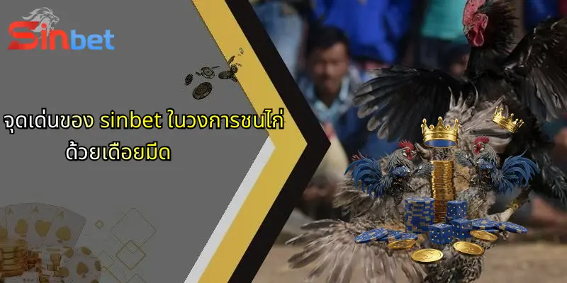 จุดเด่นของ sinbet ในวงการชนไก่ด้วยเดือยมีด